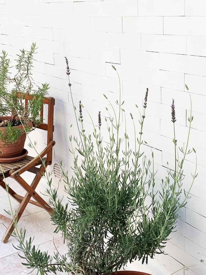 Tap Apartments - In Independent House With Private Garden Alghero Kültér fotó