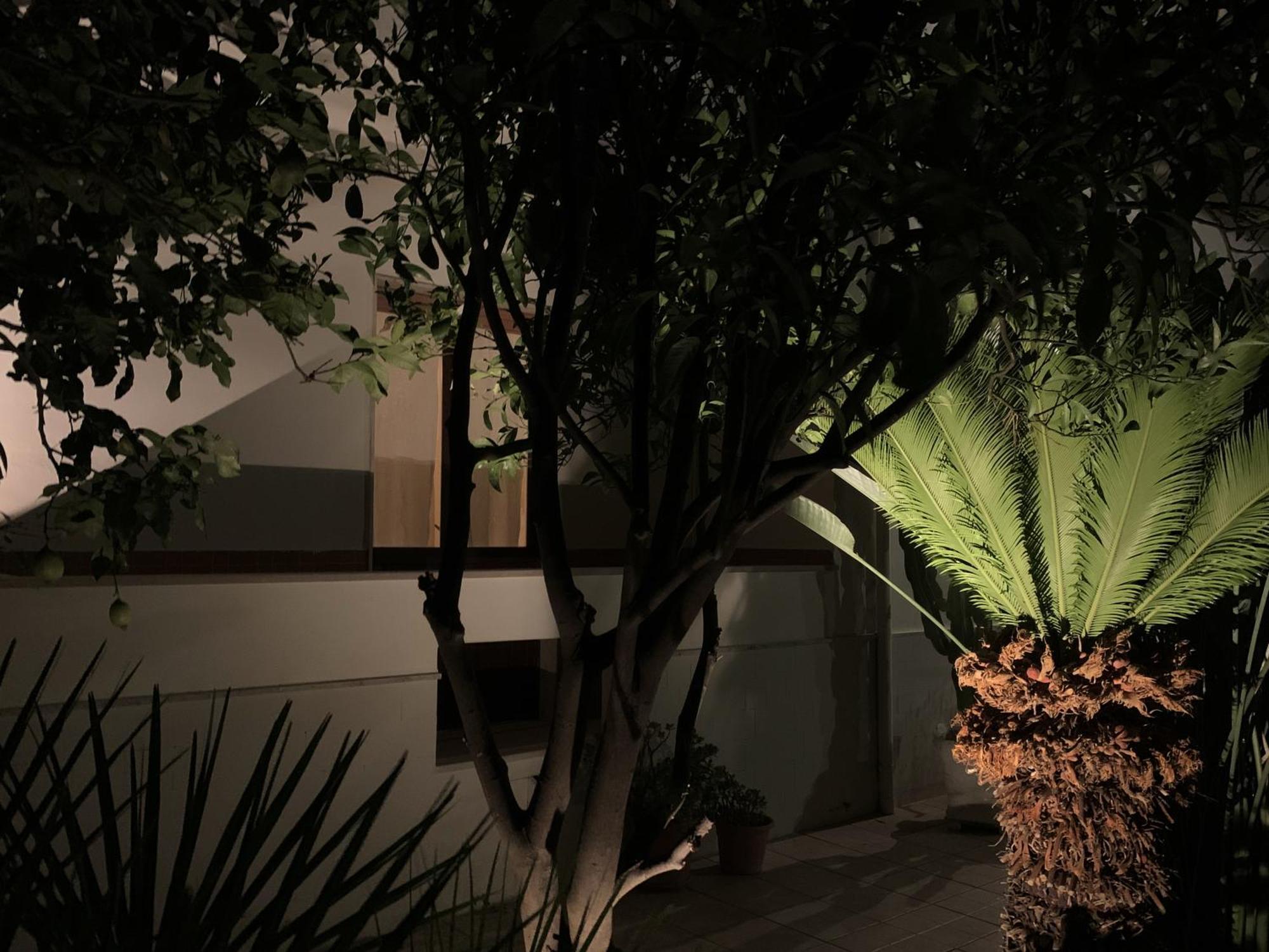 Tap Apartments - In Independent House With Private Garden Alghero Kültér fotó