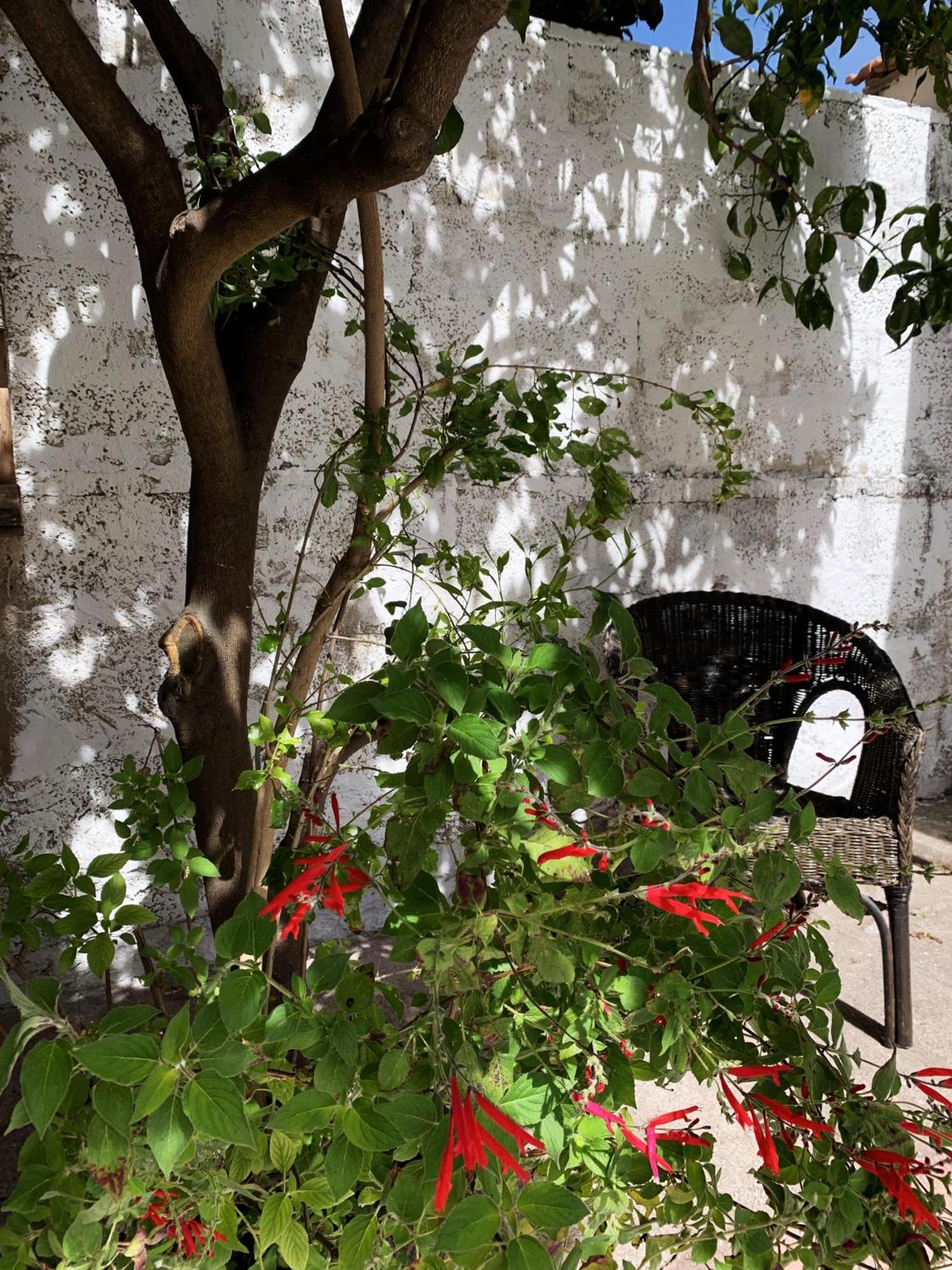 Tap Apartments - In Independent House With Private Garden Alghero Kültér fotó