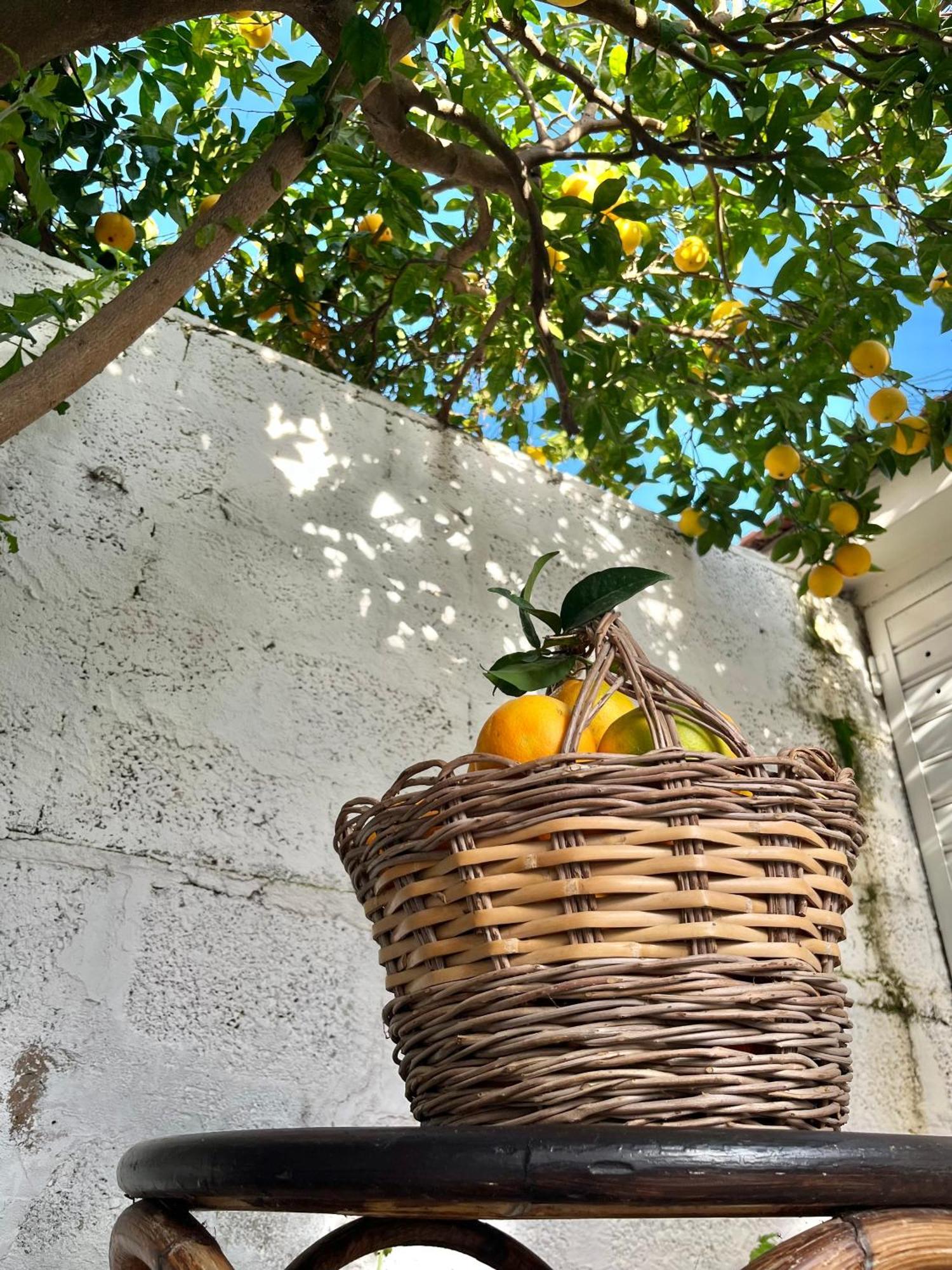 Tap Apartments - In Independent House With Private Garden Alghero Kültér fotó